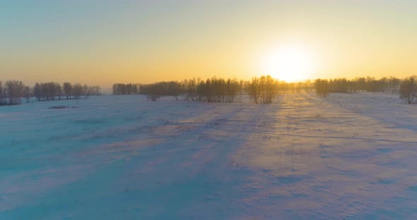 Aerial Drone View of Cold Winter Landscape with Arctic Field Trees Covered with Frost Snow and