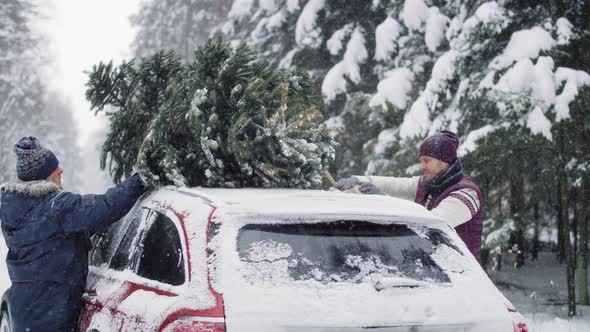 Man with senior father packing Christmas tree on the car / Videohive, Stock footage, Lifestyle