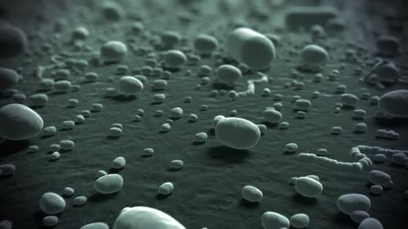 Microscopic view of bacterias with inspiring background. Loopable animation. HD