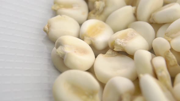 Raw hominy grain. Dry maize mote in white plate. Macro