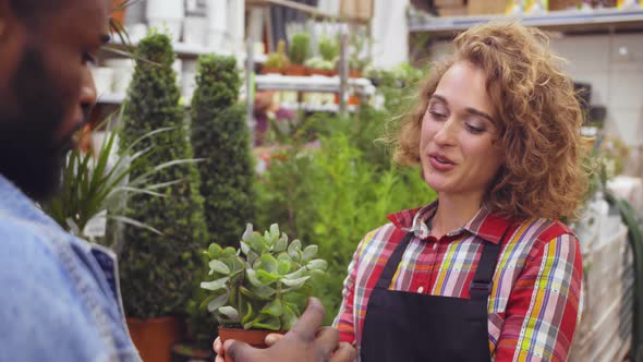 Young Woman Gardener Selling Pitted Plant To African Customer in Flower Shop