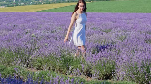 A woman in a white dress walks through a lavender field. Lavender. Provence, France