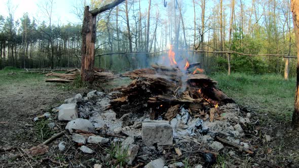 Flames Of A Burning Fire On A Background Of Summer Forest. Hiking. Tourism. Travel. Lifestyle