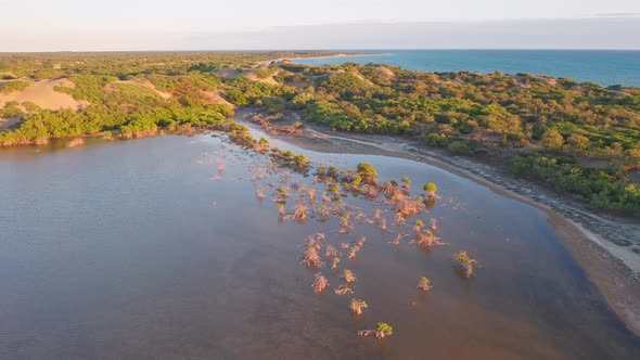 Flight over the mangroves and dunes of Bani in sunny day, overlooking the sand and the blue sea, tak