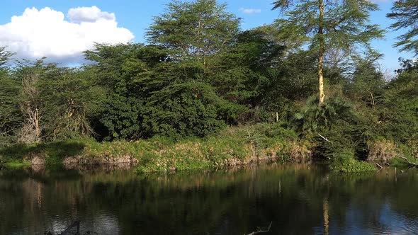 Lake at Mzima springs, Tsavo West Park in Kenya, slow motion