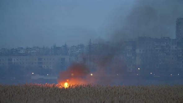 Blazing Wetland with Forks of Flame on the Dnipro Bank in the Evening in Spring  