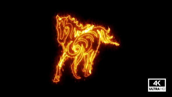 Fire Burning Horse Isolated On Black Background