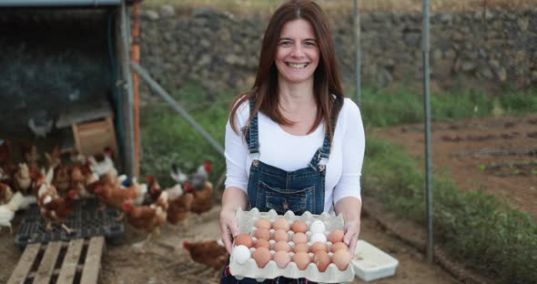 Caucasian farmer woman picking up organic eggs in henhouse - Farm lifestyle and healthy food concept