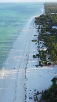 Vertical Video Boats in the Ocean Near the Coast of Zanzibar Tanzania