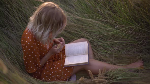 Beautiful Happy Young Woman in Field of Spikelets and Wheat with Book on the Sunset Blonde in the