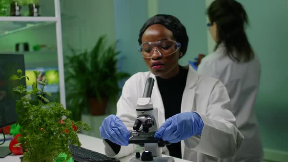 Botanist Woman Looking at Test Sample Under Microscope Observing Genetic Mutation