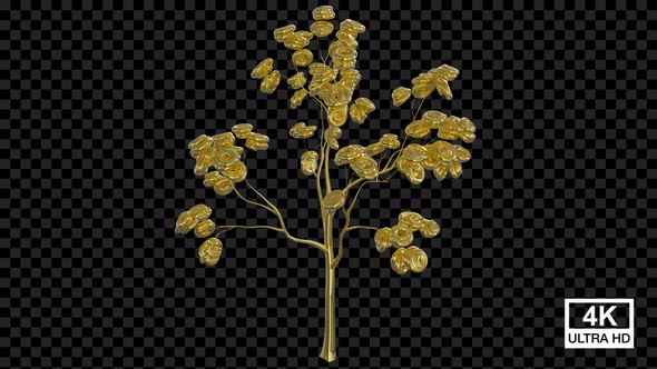 Growing Golden Torus Tree 4K