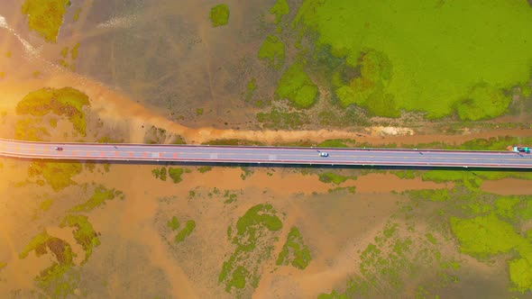 Aerial view from a drone over green and yellow plants in a large wetland