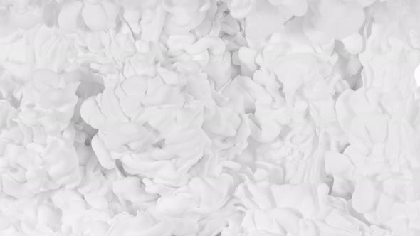 Super Slow Motion Shot of Abstract White Ink Flowing in Water at 1000Fps