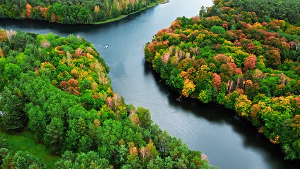 Connecting three rivers and autumn forest in Poland, aerial view