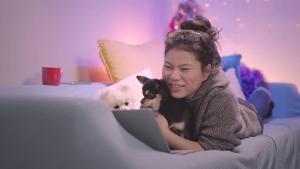 working at home asian female woman working with hand use laptop while cuddle play with lap dog