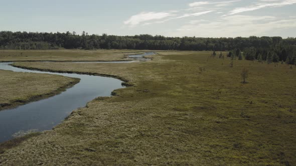 Union River Whales Back aerial flight over marsh