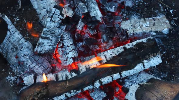 Texture of Burning Lights and Fire in a Bonfire