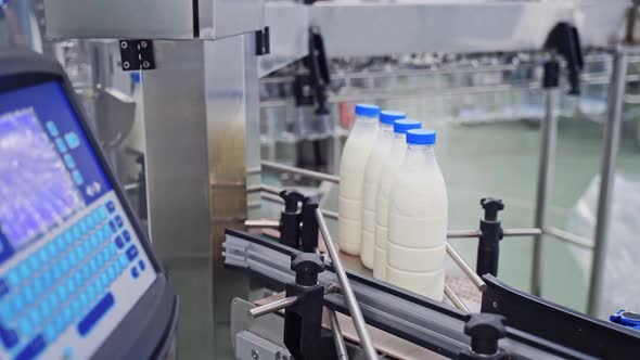 Production line of milk. Automated production line in modern dairy factory