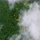 Aerial Drone Footage: Mountains Autumnt Forest Steam after Rain. - VideoHive Item for Sale