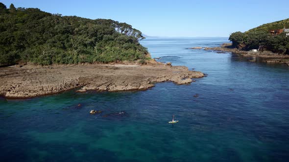 Wide Circle Aerial Shot Around Man On Paddle Board Crossing Goat Island Marine Reserve Calm Sea Chan