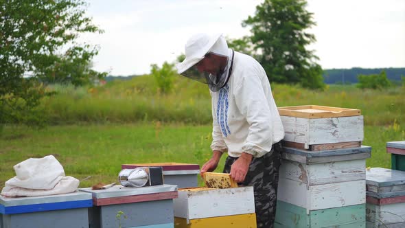 Beekeeper is working with bees and beehives on the apiary. Frames of a bee hive