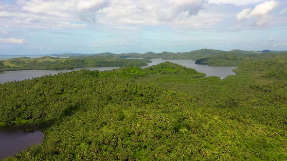 Evergreen Forest in the Hills. Tropical Landscape, Philippines