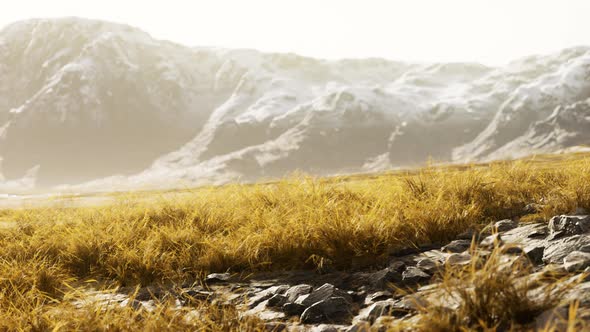 Grassland on Mountains in Autumn