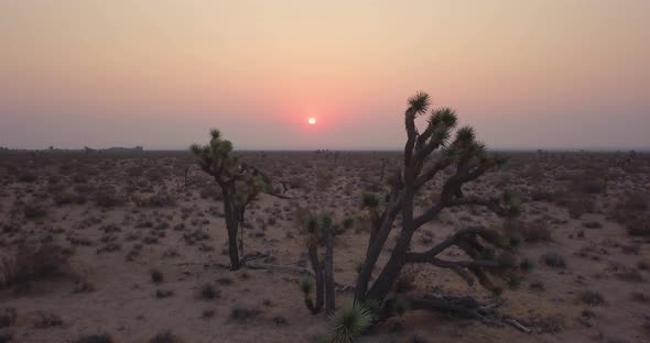 Beautiful pink and purple sunrise in Joshua Tree desert, LOW AERIAL PUSH