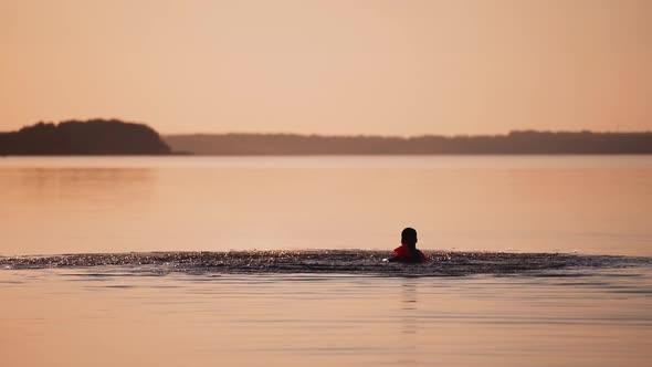 Boy swimming in the river at sunset. Silhouette of a child is splashing happily in the evening water