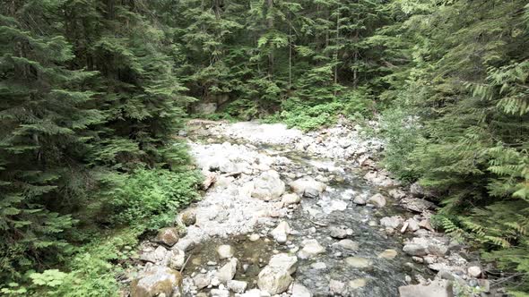 Slowly following a rock strewn mountain creek between lush green evergreen trees, aerial