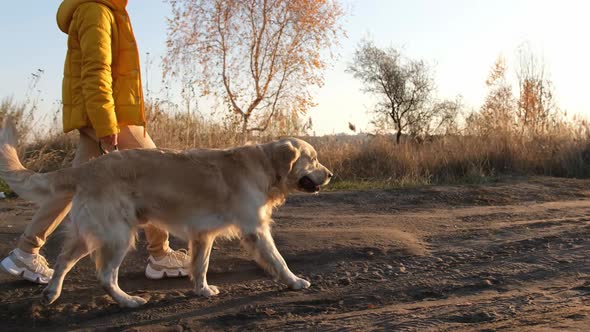 Girl with Golden Retriever Dog