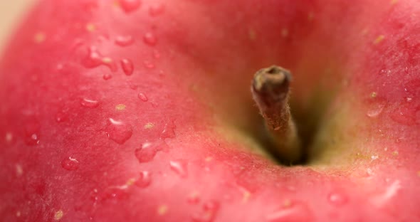 Red Apple Close Up