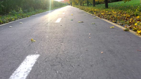 Boy rides a bicycle on bicycle path in autumm park on sunset.