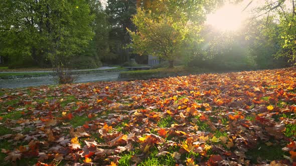 Golden Autumn Fall October in Famous Munich Relax Place - Englishgarten. English Garden with Fallen