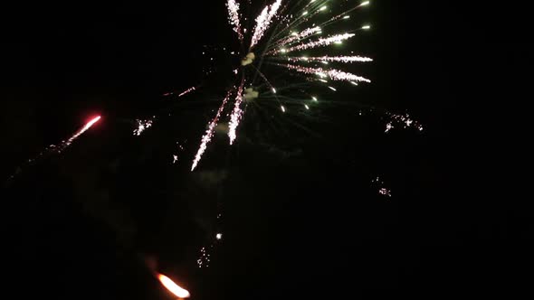 Firework on dark sky