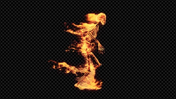 Burning 3D Skeleton Run 1 