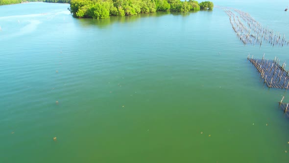 An island-shaped mangrove forest in the middle of a river mouth near the sea.