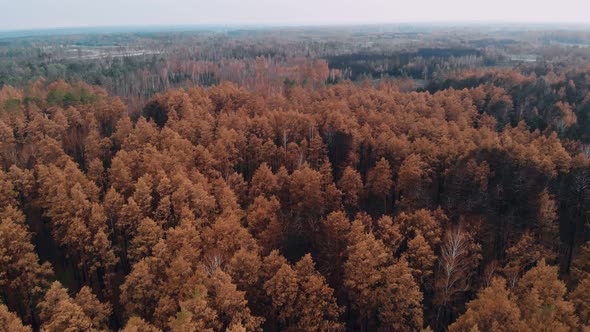 Epic Aerial View of Wild Fire