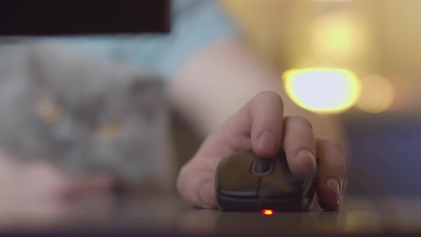 A man's hand with a computer mouse, against the background of a blurred muzzle of a cat