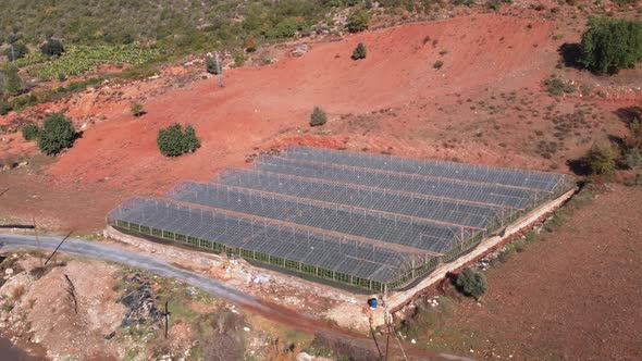 Commercial glass greenhouses. Industrial agriculture. Greenhouse garden. 