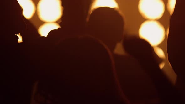 Fans Crowd Enjoying Music Concert in Nightclub