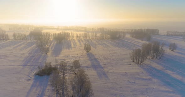 Aerial Drone View of Cold Winter Landscape with Arctic Field, Trees Covered with Frost Snow and