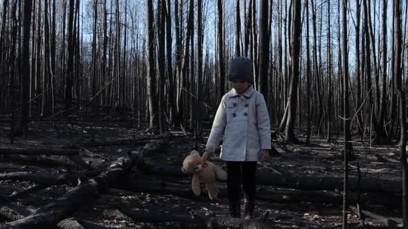 Little girl with teddy bear in burnt forest