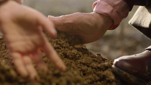 Girl and her grandmother are planting trees