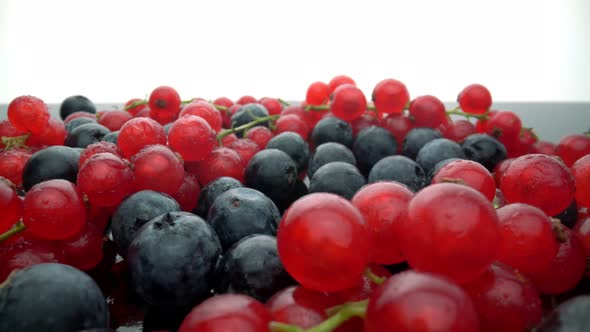 Wild Berries Red Currants and Black Lingonberries in Motion in Slow Motion