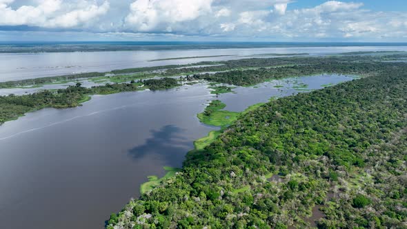 Stunning landscape of Amazon Forest at Amazonas State Brazil.