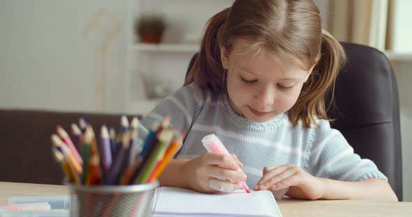 Portrait of Cute Smart Primary School Child Girl Learning Writing Does Homework Paints Picture Sit