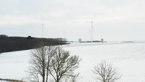 [DRONE] Rising shot over 3 trees with wind turbines in the background in the winter