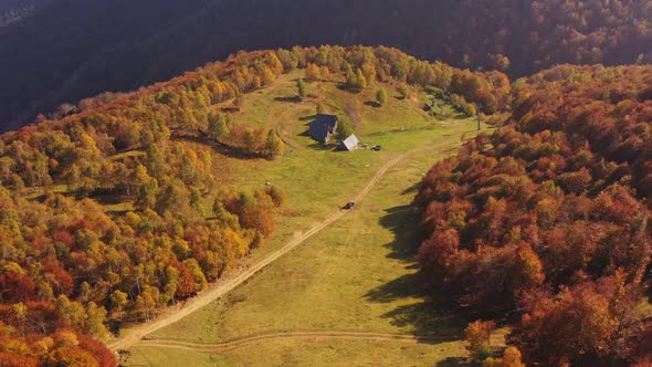 Aerial View of Autumn Forest Colored Autumn Colors Trees Car Driving Along Dirty Road Characteristic